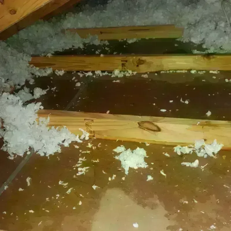 Attic Water Damage in Morgan County, GA