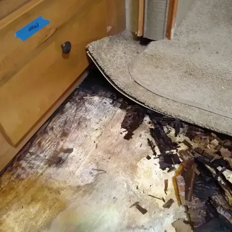 Wood Floor Water Damage in Morgan County, GA